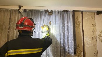 На Волині рятувальники вигнали з квартири багатоповерхівки понад 60 кажанів