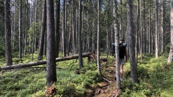 Одного разу на Ігровці