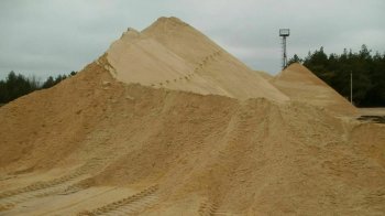 Компанію Дубневичів підозрюють в незаконному видобутку піску на 21 млн грн