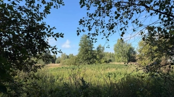 Львівській громаді через суд повернули ще дві земельні ділянки