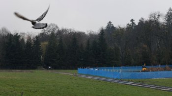 На Личаківському кладовищі вже ексгумували останки 65 людей: що з ними робитимуть далі