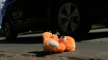 На Львівщині 11-річний хлопчик за кермом автомобіля збив однорічного брата