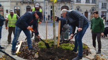 Як у Львові за допомогою дерев покращуватимуть фізичне та ментальне здоров'я людей
