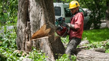У Червонограді перекриють для руху вулицю: у міськраді пояснили чому