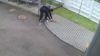 Патрульний у Львові затримав чоловіка, який викрав породистого собаку