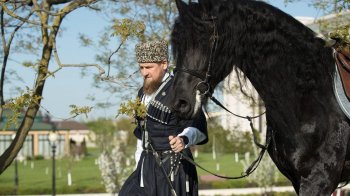 Кадиров заявив, що у нього вкрали «підсанкційного» жеребця
