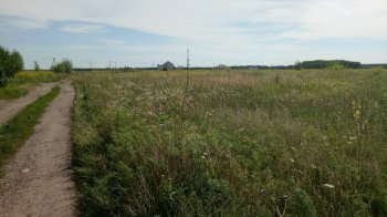 Суд повернув Золочеву 80 гектарів пасовища