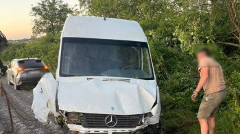 Поблизу Львова пʼяний водій перекинувся на викраденому мікроавтобусі Mercedes