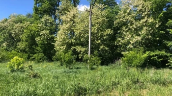 За 1,2 млн грн продали землю поблизу траси Київ — Чоп у Запитові