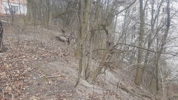 Львів’яни скаржаться, що поряд з металевими сходами на Тарнавського ніколи не прибирали