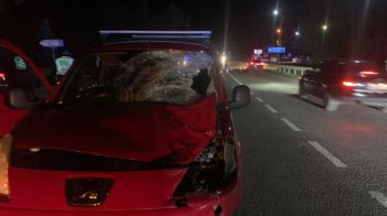 На Львівщині водій Peugeot уник покарання за смертельний наїзд на пішохідку