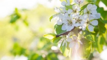 Якою буде погода 6 травня на Львівщині