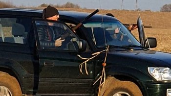 Вбивство кабанів на Львівщині