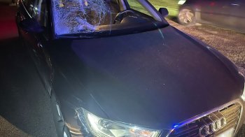 На Львівщині водій Audi на смерть збив 69-річного велосипедиста