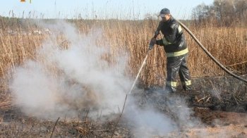 На Яворівщині масштабне загоряння торфу: рятувальники другу добу гасять пожежу