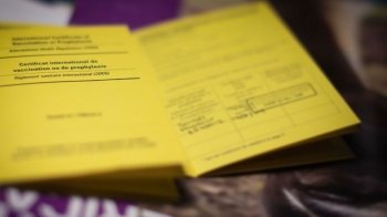 Мінцифра анонсує ковід-сертифікати на порталі Дія