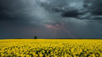 У Львові та області 25 липня прогнозують грози і град