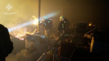 У селі під Львовом горіла виробнича будівля