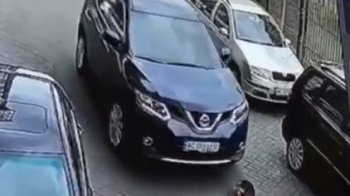У Луцьку водійка кросовера на смерть переїхала собаку та поїхала далі (відео 18+)