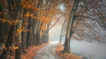 Новини, з якими варто почати цей день