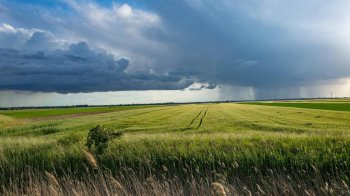 У Львові синоптики зафіксували найнижчу серпневу температуру за понад 60 років
