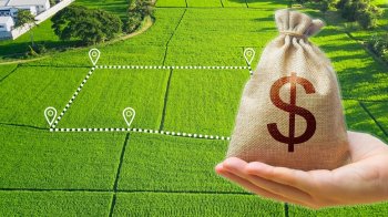 У Львівській області з початку року продали 109 га землі