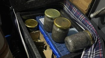 Волинянин спробував незаконно завезти в Україну 15 кг чорної ікри