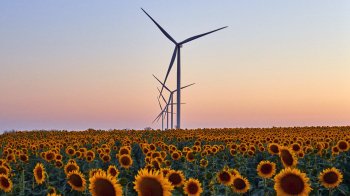 Лихоманка у вітроенергетиці: які виникли ризики для перспективного ринку