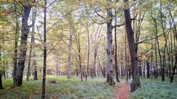 У Львівській області створили чотири нові природоохоронні зони