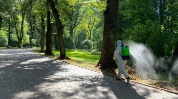 Львів’ян закликали три дні не відвідувати один з парків через обробку від кліщів