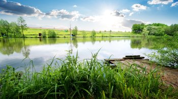 На Стрийщині суд повернув громаді будівлю ферми та гідроспоруд площею 1,5 тис. кв м