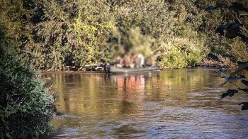Застрягли посеред річки: на Львівщині рятувальники діставали підлітків