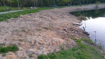 Кучугури намулу лишили на березі: львів’яни поскаржились на комунальників, які чистили озеру в «Горіховому гаю»