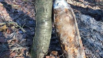 Радянський снаряд