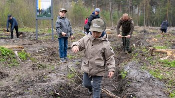 Гектар дубів висадили на Львівщині в пам’ять про загиблого на війні лісівника