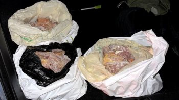 На Закарпатті затримали прикордонника за сприяння контрабанді бурштину