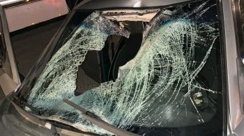 На Львівщині за добу травмовано двох пішоходів: поліція з’ясовує обставини ДТП