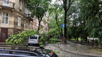 Міська рада Львова розповіла про наслідки вчорашньої негоди