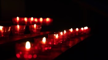 Львівщина 23 вересня попрощається із шістьома полеглими захисниками