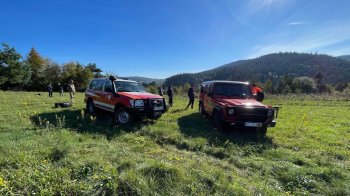 Пішла по гриби: у лісі на Львівщині через добу знайшли заблукалу жінку