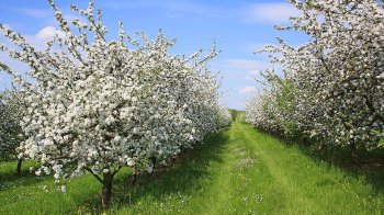 Тепло, але похмуро: якою буде погода 2 травня на Львівщині
