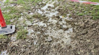 У Львові стався витік води, на газоні утворилось болото (фото)