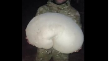 «Пішли хлопці в розвідку — найшли гриба! Ото буде що їсти!»: військові ЗСУ знайшли велетенського дощовика (відео)