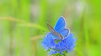 Мінлива хмарність без істотних опадів: погода у Львові та області 25 серпня 