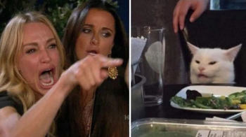 Популярний мем продадуть на NFT-аукціоні, щоб допомогти українським дітям