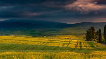 Майже 100 га землі на Самбірщині повернули у власність громади