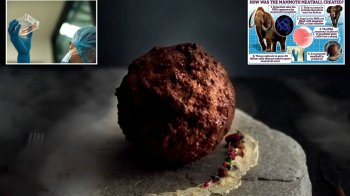 Вчені приготували доісторичні фрикадельки з м’яса мамонта, але вони можуть вбити людину: в чому причина