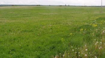 фото умовне