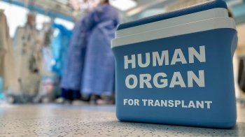 Врятовано чотири життя: у Львові успішно пересадили органи людини, яка загинула в ДТП