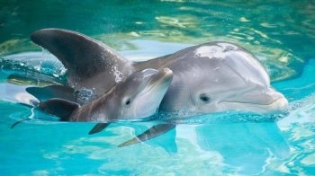 23 липня: церковні свята, іменини, прикмети